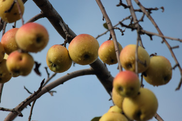 Similar image 10446305