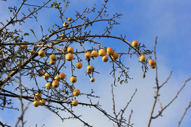 Similar image 10446306