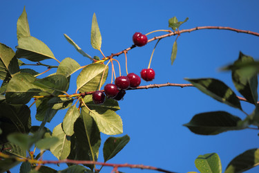 Similar image 10446307