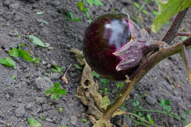 Similar image 10446308