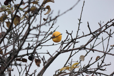 Similar image 10446309