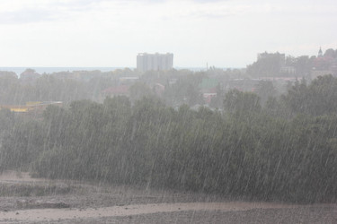 Similar image 10446318