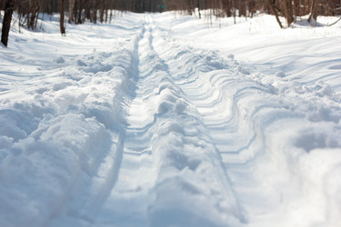 Similar image 10446319