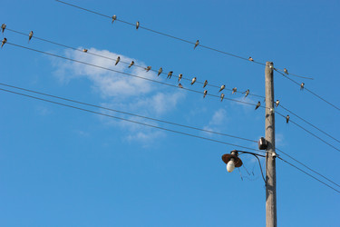 Similar image 10446320