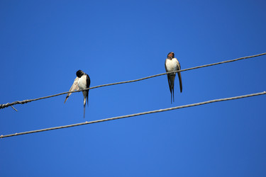 Similar image 10446321