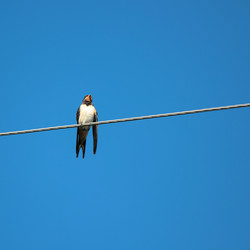 Similar image 10446322