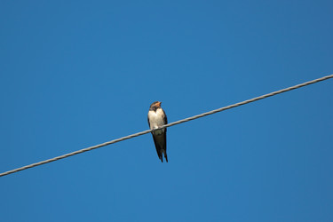 Similar image 10446323