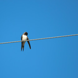 Similar image 10446324