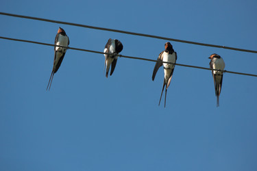 Similar image 10446326