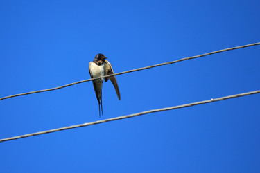 Similar image 10446327