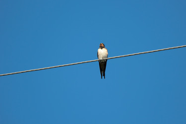 Similar image 10446328