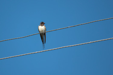 Similar image 10446329