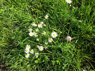 Similar image 10446372