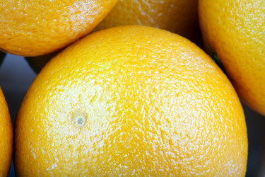 Similar image 10446405