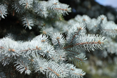 Similar image 10446411