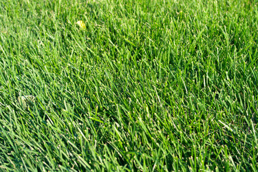 Similar image 10446412