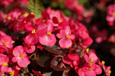 Similar image 10446416