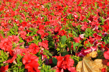 Similar image 10446417