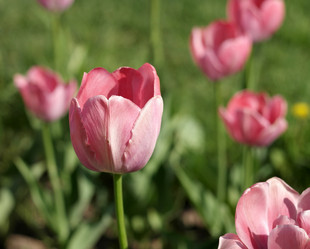 Similar image 10446420