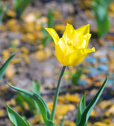 Similar image 10446422