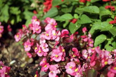 Similar image 10446425