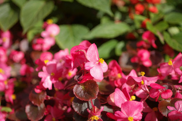 Similar image 10446426