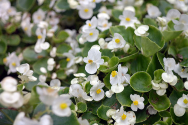 Similar image 10446427