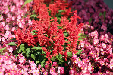 Similar image 10446428