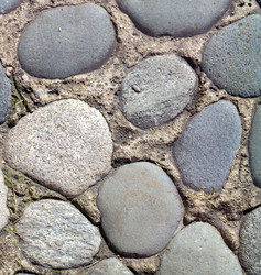 Similar image 10446430