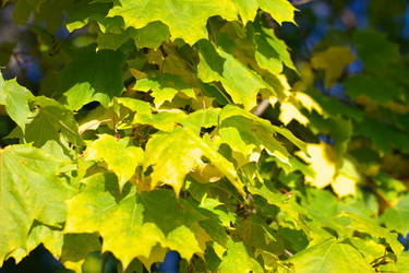 Similar image 10446438