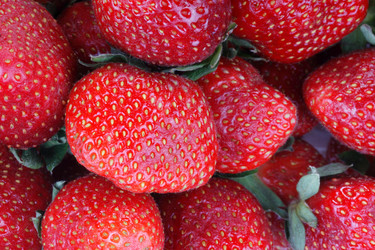 Similar image 10446498