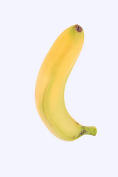 Similar image 10446502