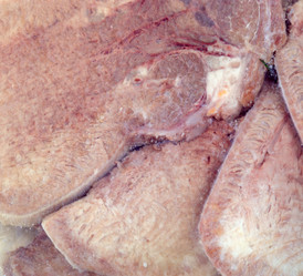 Similar image 10446507