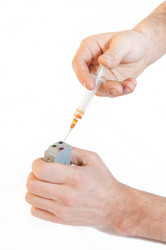 Similar image 10446512