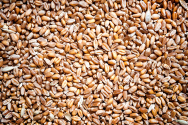 Similar image 10446519