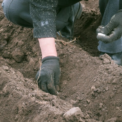 Similar image 10446523