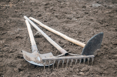 Similar image 10446524