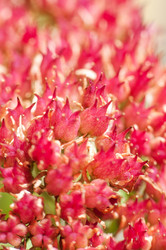 Similar image 10446536