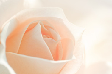 Similar image 10446539