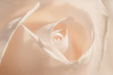 Similar image 10446541