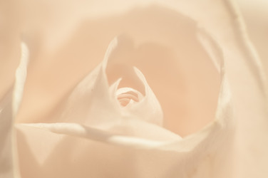 Similar image 10446542