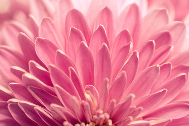 Similar image 10446544