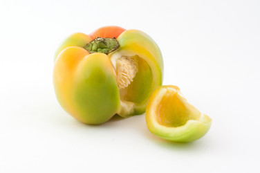 Similar image 10446545