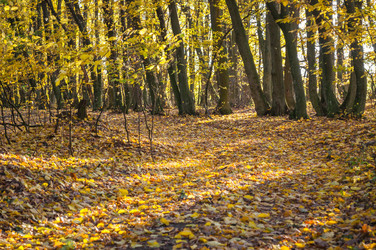 Similar image 10446546