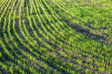 Similar image 10446547