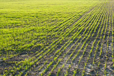 Similar image 10446549