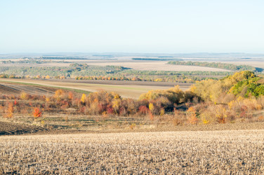 Similar image 10446550