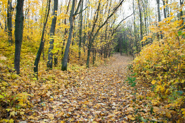 Similar image 10446552