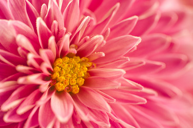 Similar image 10446554