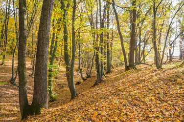 Similar image 10446556